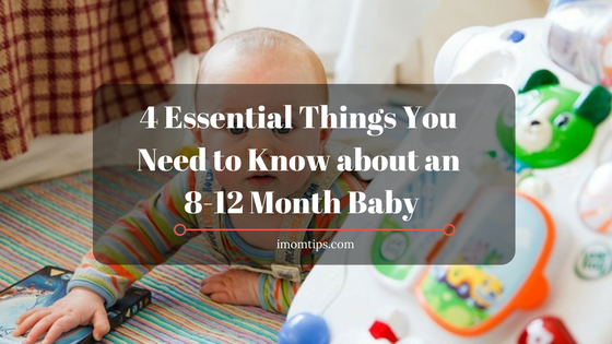 4 Essential Things You Need to Know about an 8-12 Month Baby